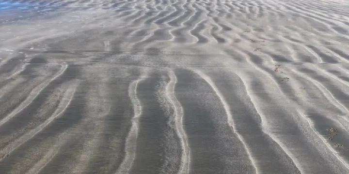 Bird Walk Coastal Access Trail
