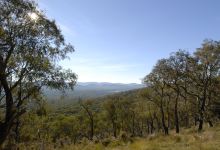 Bunyip State Park景点图片