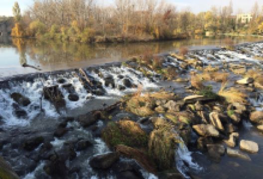Paseo de la Florida景点图片