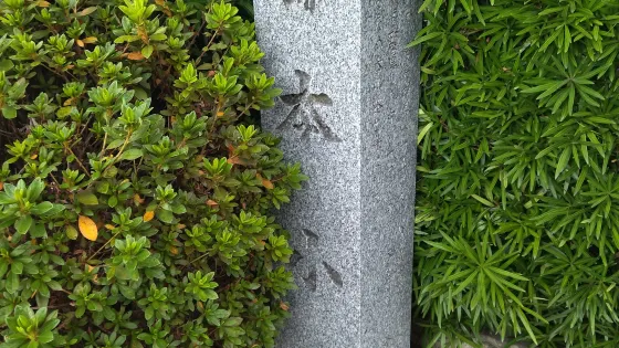 Honkoji Bukeyashikidori