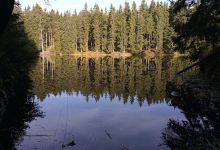 Seidelův rybník景点图片