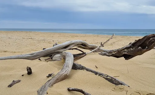 French Narrows Coastal Walk
