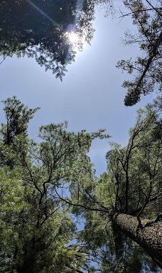 Mikisew Provincial Park-Machar