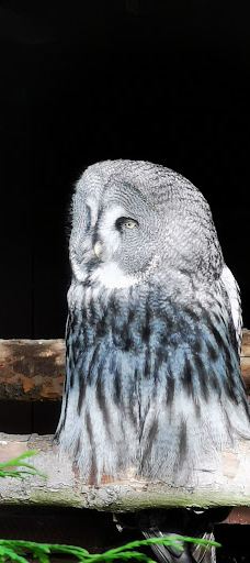 Vogelpark Niendorf-蒂门多尔费尔斯特兰德