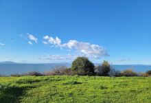 Pinole Shores Park景点图片