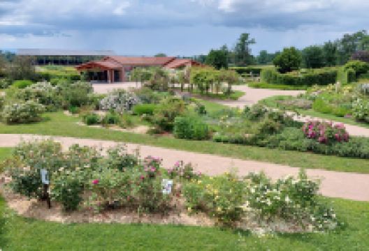 Rose Garden Saint Galmier景点图片