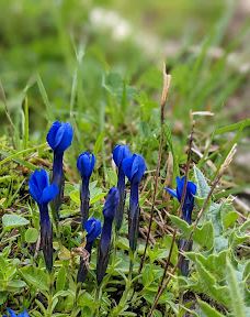 Allgäuer Hochalpen-奥伯斯多夫