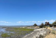 Wilsons Point景点图片