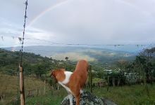 Finca la Esperanza de Verónica景点图片