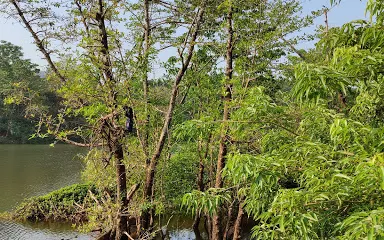 Uchatthu Kayam Riverside Picnic Spot