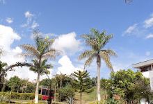 Parque Municipal el Vergel景点图片