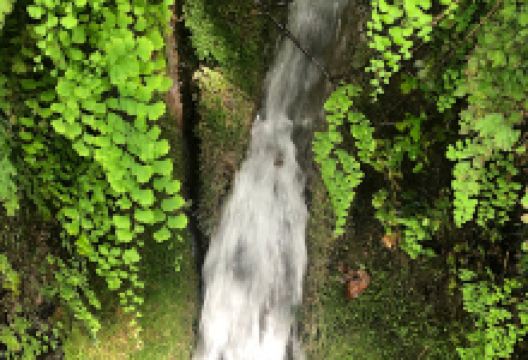 Llavador de Tales景点图片