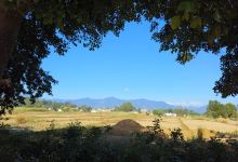 CRICKET GROUND AND RESORT景点图片