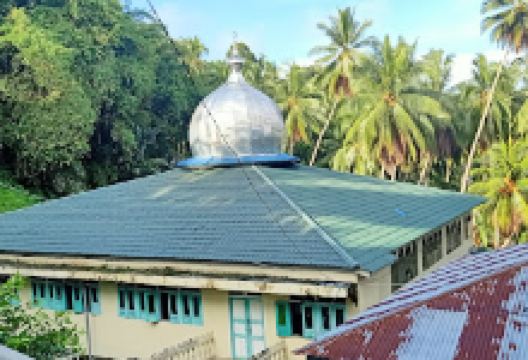 Masjid Jami' Padang Sibusuk景点图片