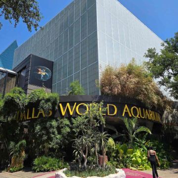 美国达拉斯2日1晚跟团游