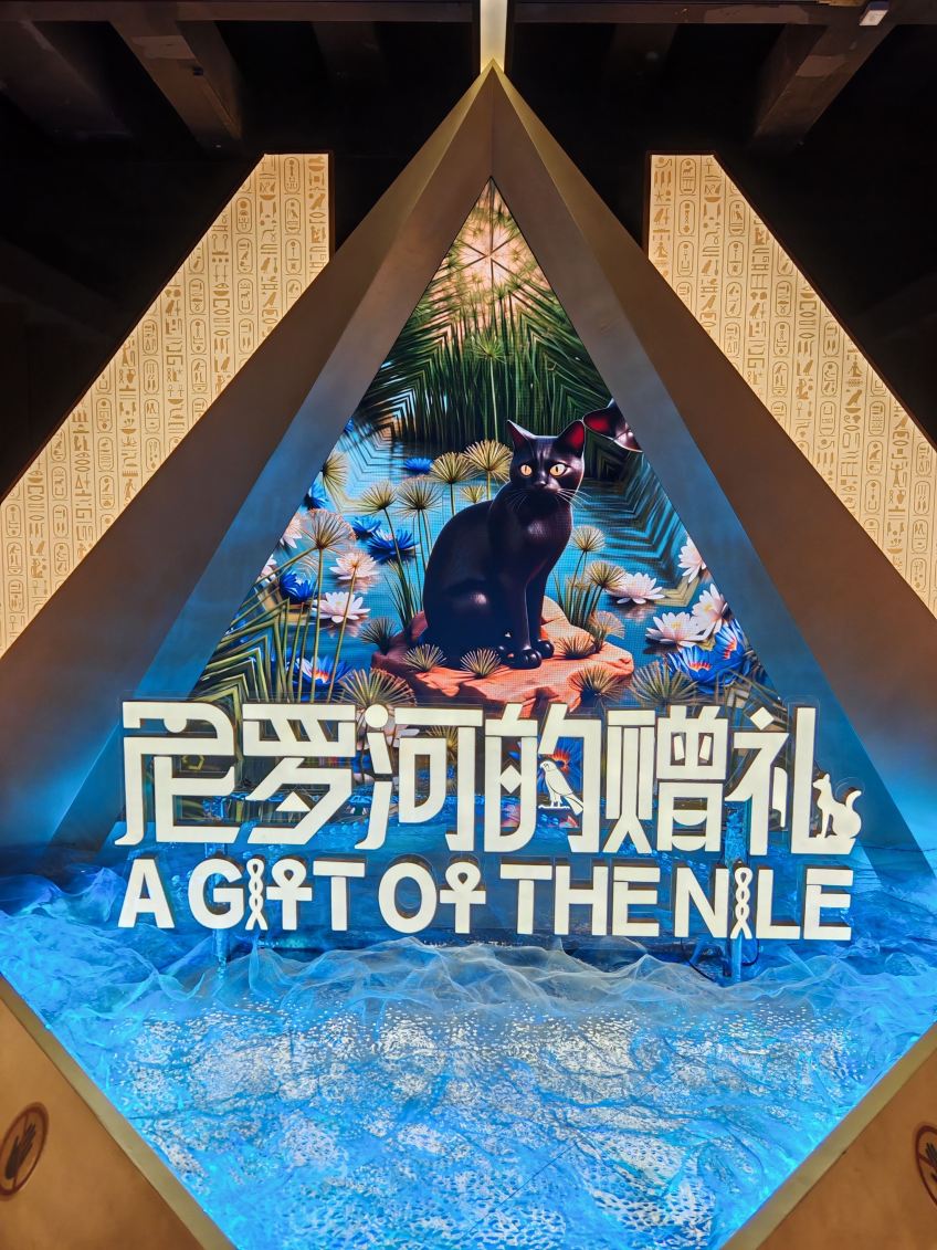 南越王博物院景点图片 18