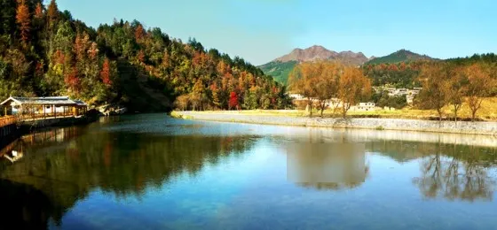 紫林山國家森林公園