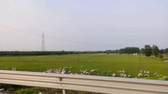 遼河