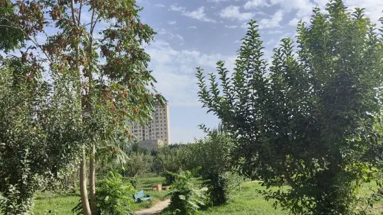 策勒公園