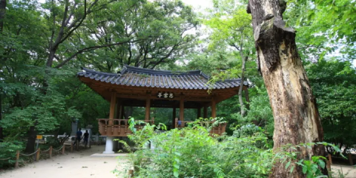上林公園