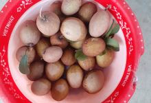 Nhà Vườn Xuân Lập购物图片