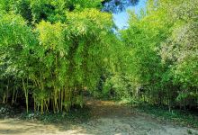 Parque das Águas景点图片