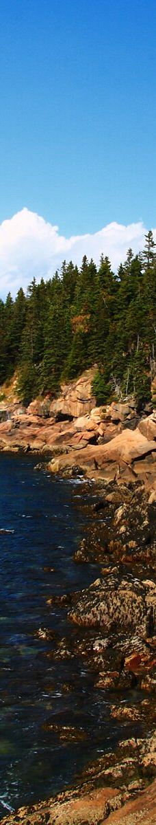 阿科底亚国家公园-沙山