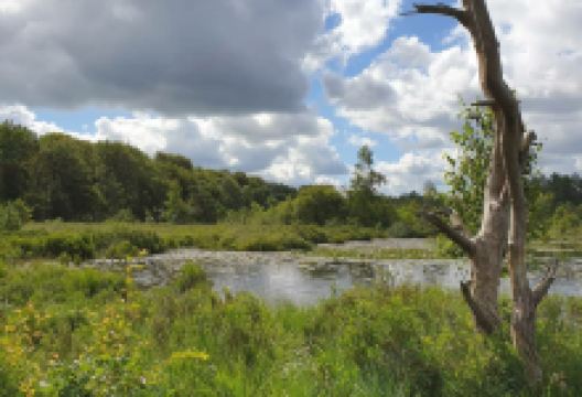 Outdoor Centrum Drenthe Friese Wold景点图片
