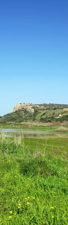 Zappa Amphi Shuni-Binyamina-Giv'at Ada
