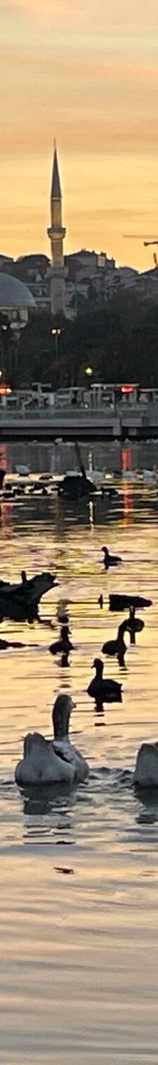 伊斯坦布尔港-伊斯坦布尔