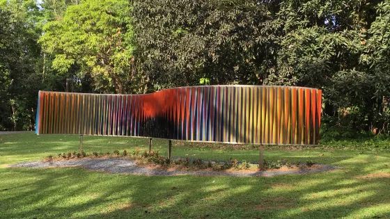 Jardin Botanico