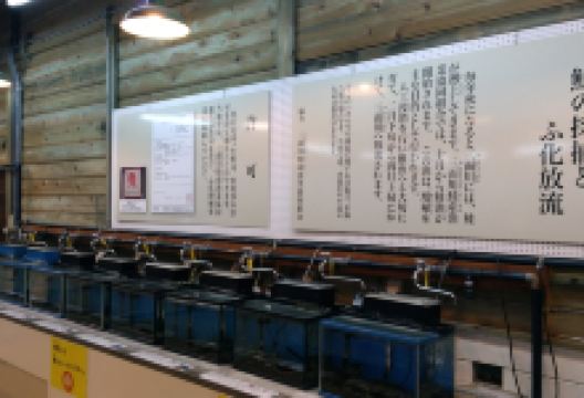 Iyoboya Kaikan景点图片