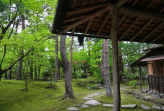 清水园景点图片