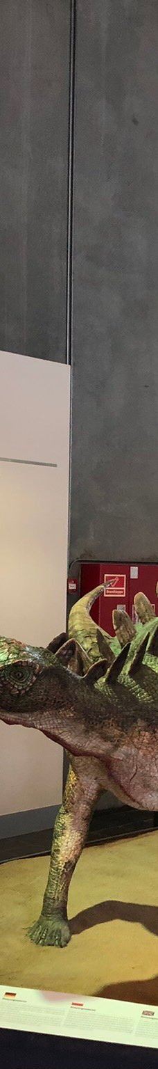 Naturbornholm-阿克尔科拜