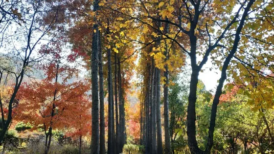 韓宅植物園
