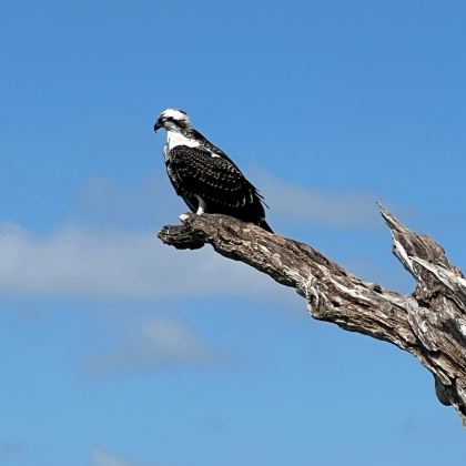 美国迈阿密5日4晚自由行