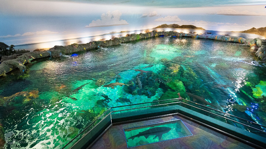 加拿大瑞普利水族館