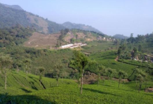 Carver Marsh Monument景点图片