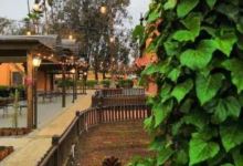 Parque Recreativo Infantil Tecarroca景点图片