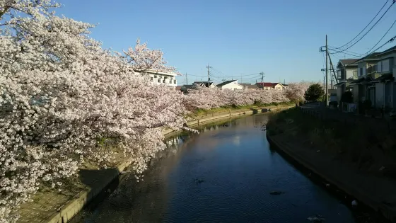 Arajuku Bridge