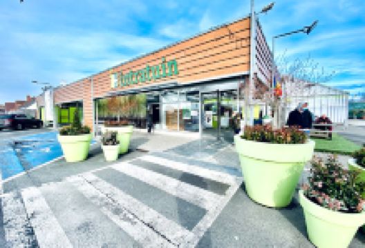 Intratuin购物图片