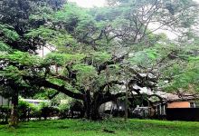 Zion Seventh day Adventist Church景点图片