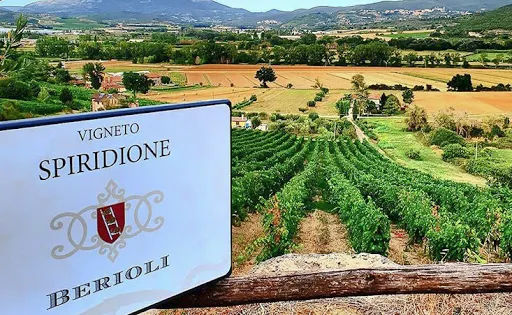 Cantina Berioli