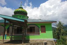 Masjid desa batang onang baru景点图片