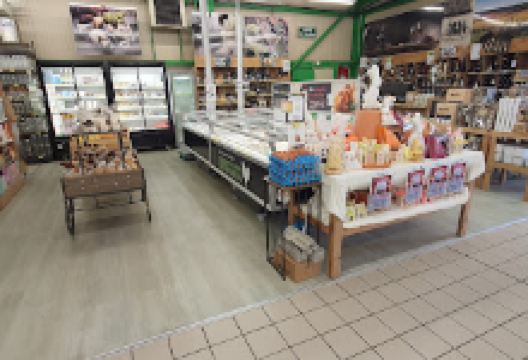 GAMM VERT购物图片