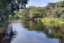 Balneario Río Verde景点图片