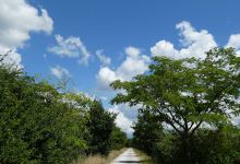 Chemin des Droits de l'Homme景点图片