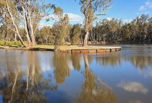 The Willows Reserve景点图片