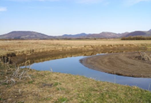 Veneția River景点图片