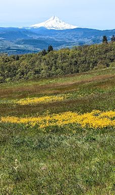 Catherine Creek Day Use Area/Trailhead-克利基塔特县